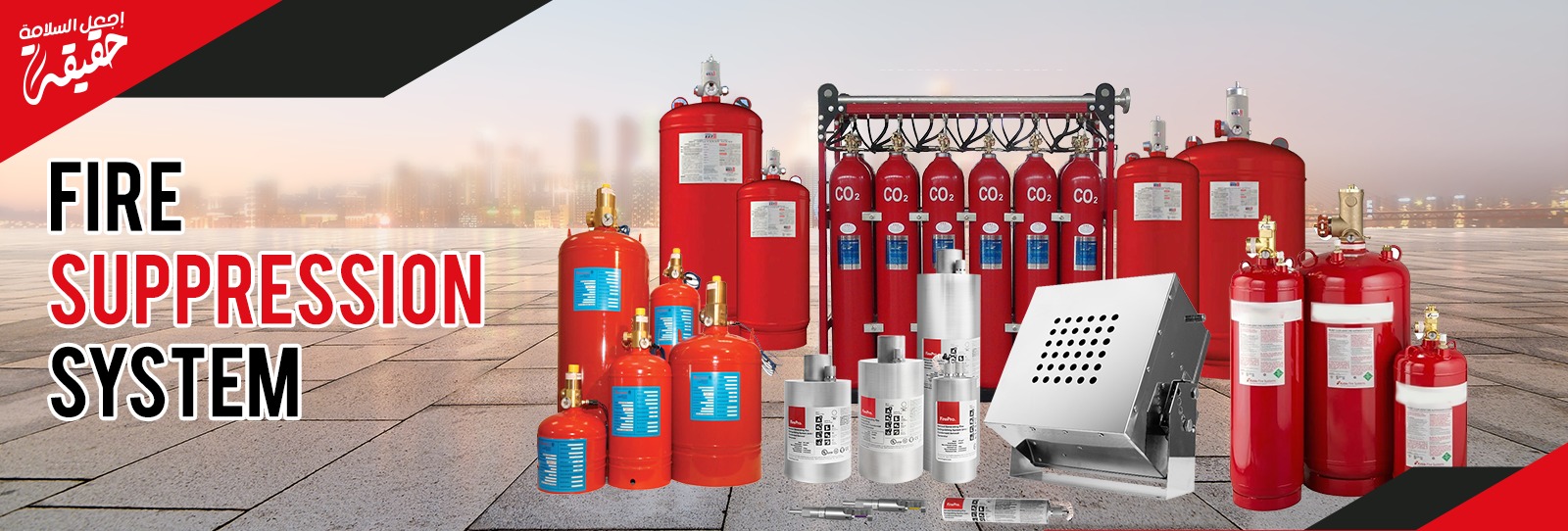 WhatsApp Image 2024-11-19 at 18.42.37