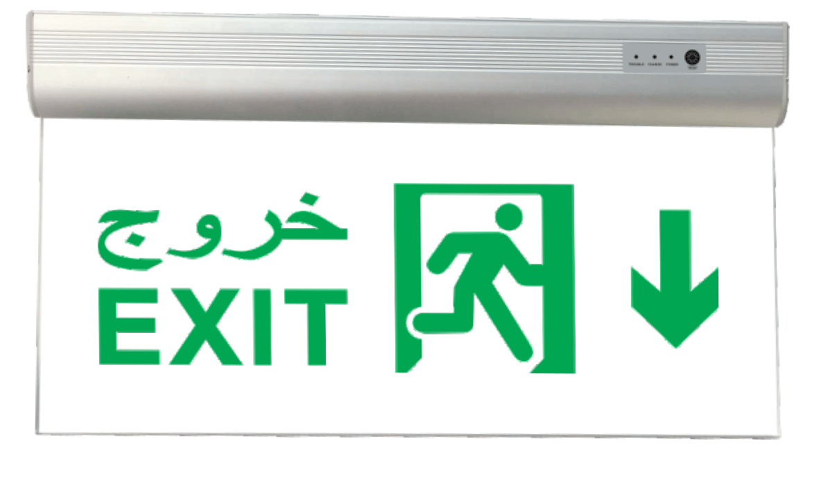 Emergency sign light -TM-S509