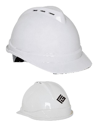 FG Safety Helmet FG 6570
